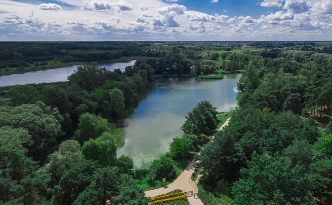 Przyroda